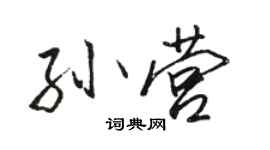 駱恆光孫營行書個性簽名怎么寫