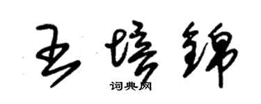 朱錫榮王培錦草書個性簽名怎么寫