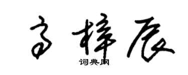 朱錫榮高梓辰草書個性簽名怎么寫