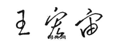 駱恆光王宏宙草書個性簽名怎么寫