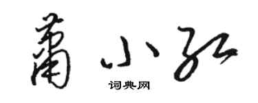 駱恆光蕭小紅草書個性簽名怎么寫