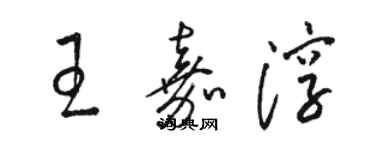 駱恆光王嘉淳草書個性簽名怎么寫