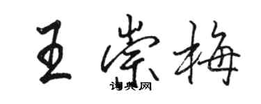 駱恆光王崇梅行書個性簽名怎么寫