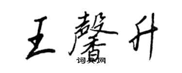 王正良王馨升行書個性簽名怎么寫