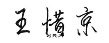 駱恆光王惜京行書個性簽名怎么寫