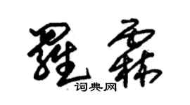 朱錫榮羅霖草書個性簽名怎么寫