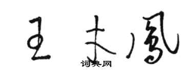 駱恆光王才鳳草書個性簽名怎么寫