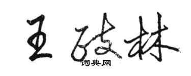 駱恆光王政林行書個性簽名怎么寫