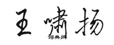 駱恆光王嘯揚行書個性簽名怎么寫