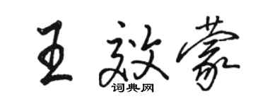 駱恆光王效蒙行書個性簽名怎么寫