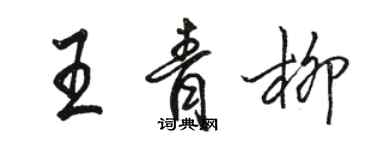 駱恆光王青柳行書個性簽名怎么寫