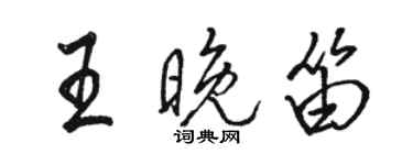 駱恆光王晚笛行書個性簽名怎么寫