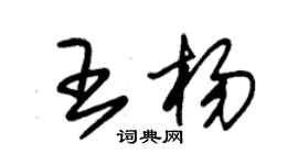 朱錫榮王楊草書個性簽名怎么寫