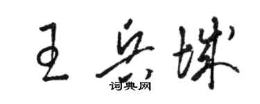 駱恆光王兵城草書個性簽名怎么寫