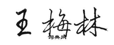 駱恆光王梅林行書個性簽名怎么寫