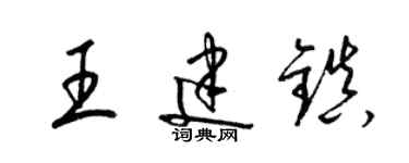 梁錦英王建鎮草書個性簽名怎么寫