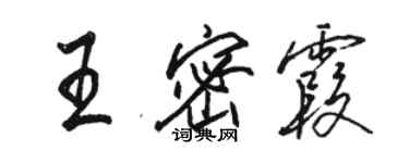 駱恆光王密霞行書個性簽名怎么寫