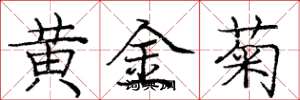 龐中華黃金菊楷書怎么寫
