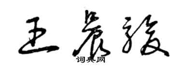 曾慶福王晨駿草書個性簽名怎么寫