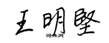 王正良王明堅行書個性簽名怎么寫