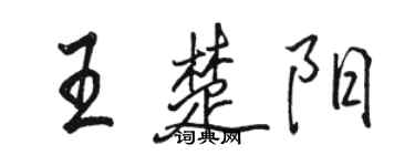 駱恆光王楚陽行書個性簽名怎么寫