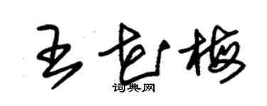 朱錫榮王花梅草書個性簽名怎么寫