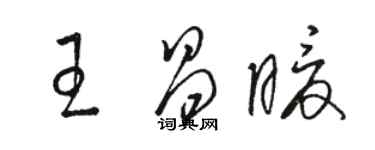 駱恆光王昌暖草書個性簽名怎么寫