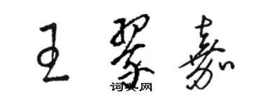 駱恆光王翠嘉草書個性簽名怎么寫