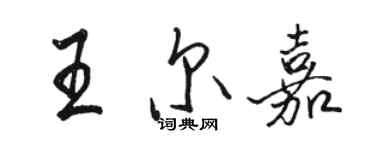 駱恆光王爾嘉行書個性簽名怎么寫