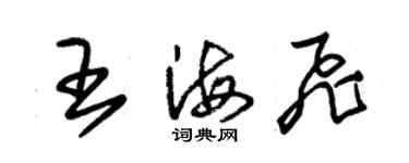 朱錫榮王海飛草書個性簽名怎么寫