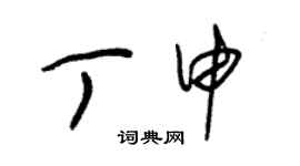 朱錫榮丁申草書個性簽名怎么寫