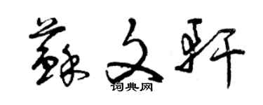 曾慶福蘇文軒草書個性簽名怎么寫