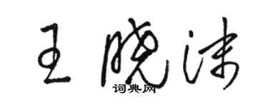 駱恆光王曉沫草書個性簽名怎么寫