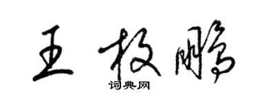 梁錦英王枚鵬草書個性簽名怎么寫