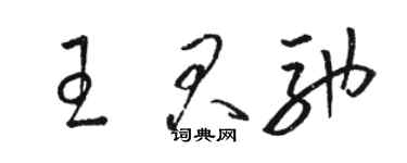 駱恆光王君馳草書個性簽名怎么寫