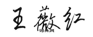 駱恆光王薇紅行書個性簽名怎么寫
