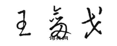 駱恆光王劍戈草書個性簽名怎么寫