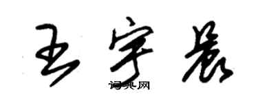 朱錫榮王宇晨草書個性簽名怎么寫