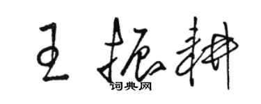 駱恆光王振耕草書個性簽名怎么寫