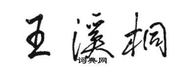 駱恆光王溪桐行書個性簽名怎么寫