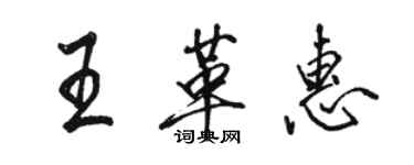 駱恆光王革惠行書個性簽名怎么寫