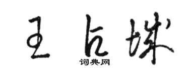 駱恆光王占城草書個性簽名怎么寫