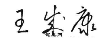 駱恆光王成康草書個性簽名怎么寫