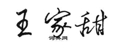 駱恆光王家甜行書個性簽名怎么寫