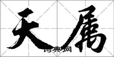 胡問遂天屬行書怎么寫