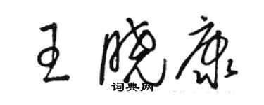 駱恆光王曉康草書個性簽名怎么寫