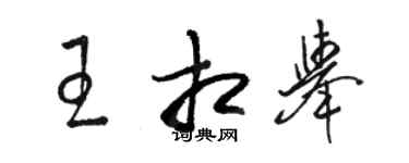 駱恆光王相舉草書個性簽名怎么寫
