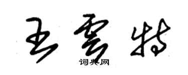 朱錫榮王雲特草書個性簽名怎么寫
