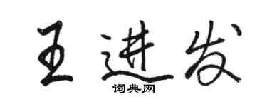 駱恆光王進發行書個性簽名怎么寫