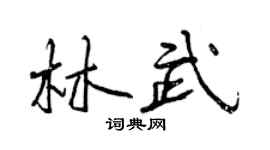 曾慶福林武行書個性簽名怎么寫